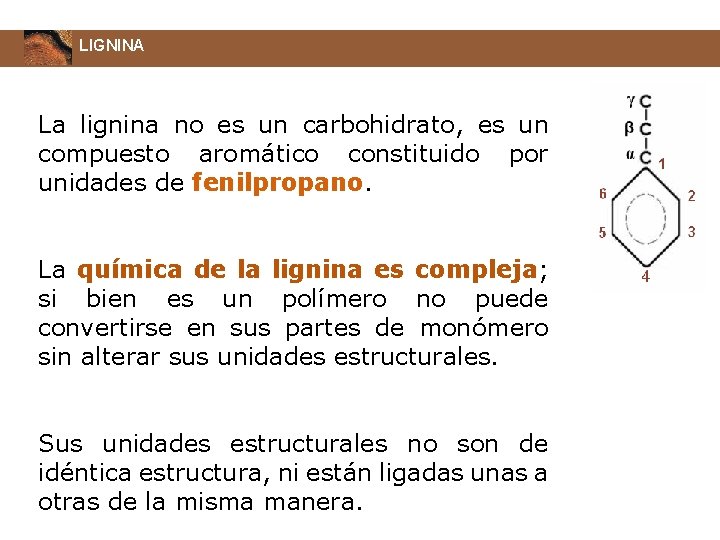 LIGNINA La lignina no es un carbohidrato, es un compuesto aromático constituido por unidades