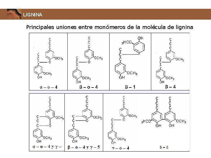 LIGNINA Principales uniones entre monómeros de la molécula de lignina 