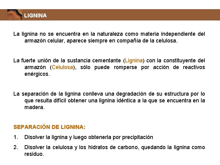 LIGNINA La lignina no se encuentra en la naturaleza como materia independiente del armazón