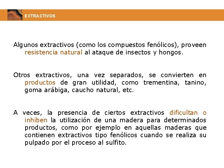EXTRACTIVOS Algunos extractivos (como los compuestos fenólicos), proveen resistencia natural al ataque de insectos
