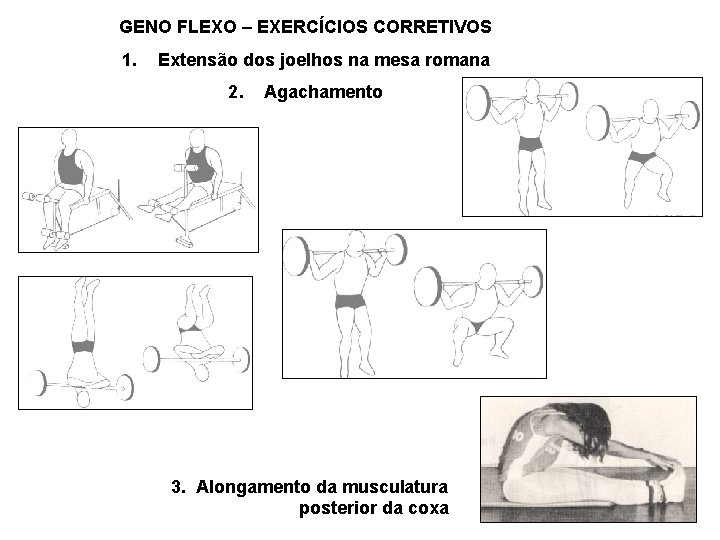 GENO FLEXO – EXERCÍCIOS CORRETIVOS 1. Extensão dos joelhos na mesa romana 2. Agachamento