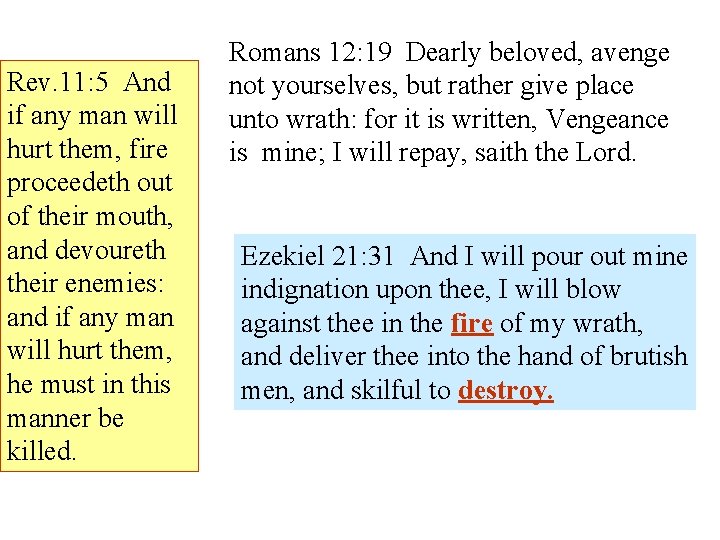 Rev. 11: 5 And if any man will hurt them, fire proceedeth out of