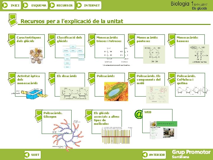 INICI ESQUEMA RECURSOS INTERNET Els glúcids Recursos per a l’explicació de la unitat Característiques