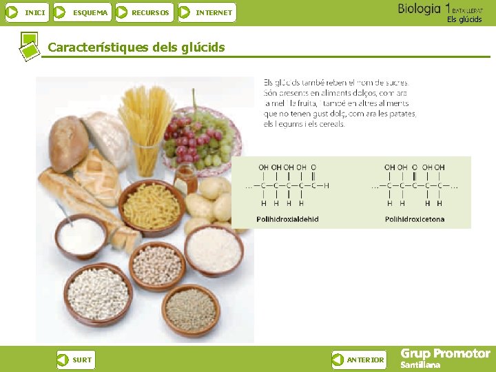 INICI ESQUEMA RECURSOS INTERNET Els glúcids Característiques dels glúcids SURT ANTERIOR 