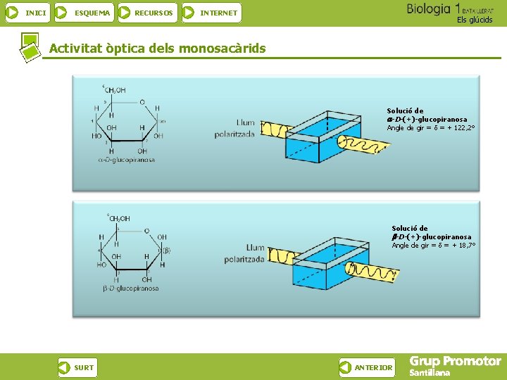 INICI ESQUEMA RECURSOS INTERNET Els glúcids Activitat òptica dels monosacàrids Solució de -D-(+)-glucopiranosa Angle