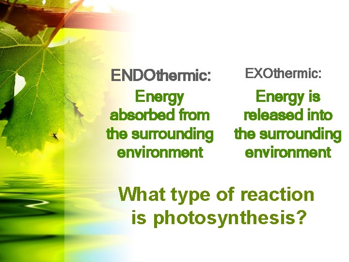 ENDOthermic: Energy absorbed from the surrounding environment EXOthermic: Energy is released into the surrounding