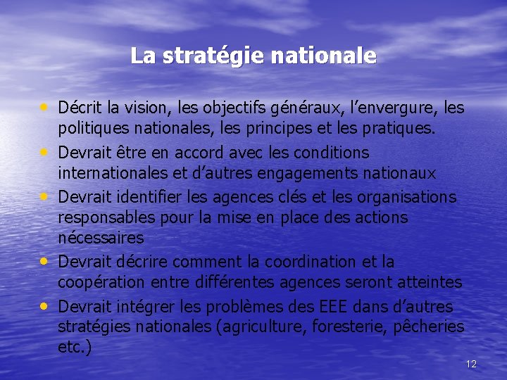 La stratégie nationale • Décrit la vision, les objectifs généraux, l’envergure, les • •