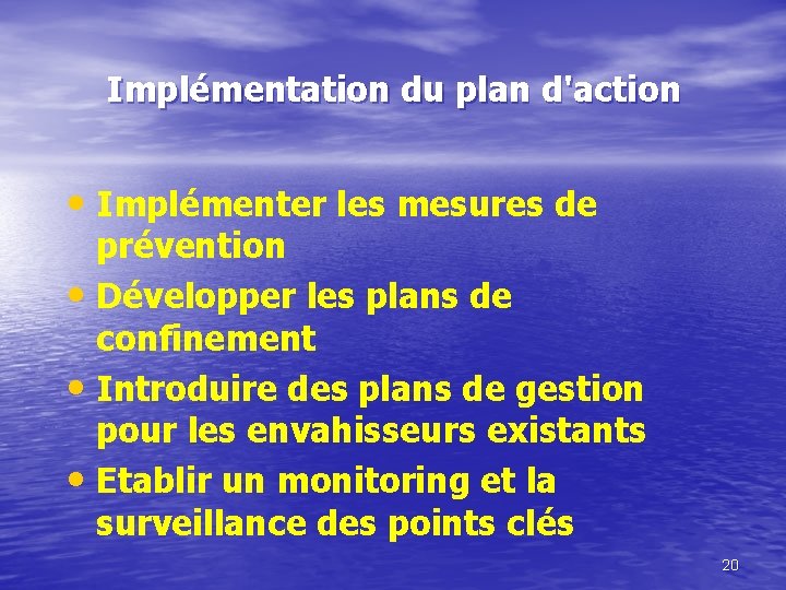 Implémentation du plan d'action • Implémenter les mesures de prévention • Développer les plans