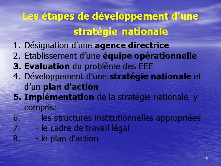 Les étapes de développement d’une stratégie nationale 1. 2. 3. 4. 5. 6. 7.