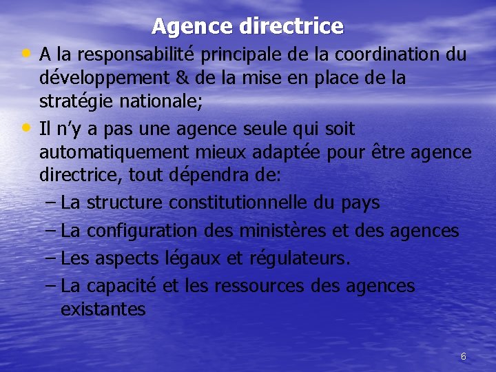 Agence directrice • A la responsabilité principale de la coordination du • développement &