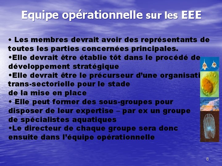 Equipe opérationnelle sur les EEE • Les membres devrait avoir des représentants de toutes