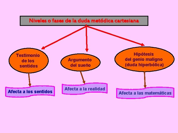 Niveles o fases de la duda metódica cartesiana Testimonio de los sentidos Afecta a