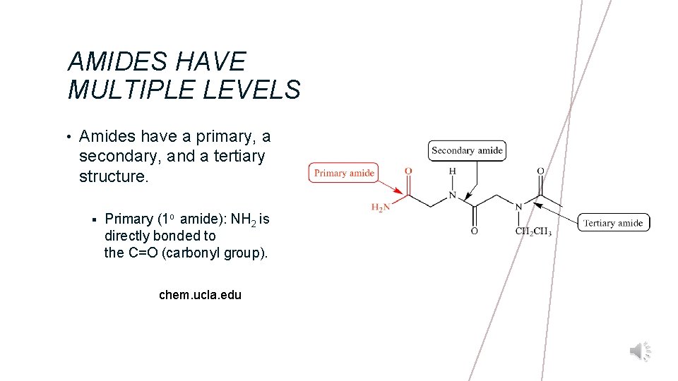 AMIDES HAVE MULTIPLE LEVELS • Amides have a primary, a secondary, and a tertiary