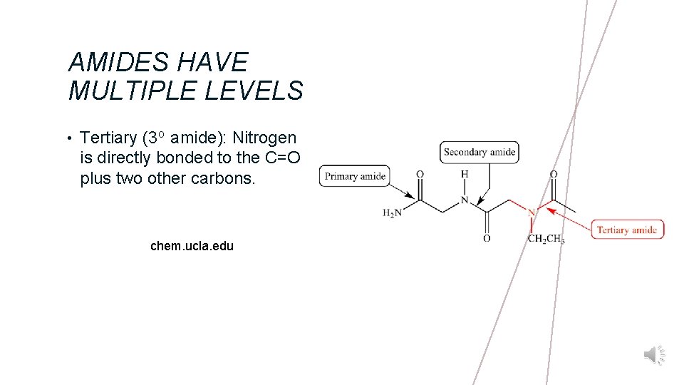 AMIDES HAVE MULTIPLE LEVELS • Tertiary (3 o amide): Nitrogen is directly bonded to