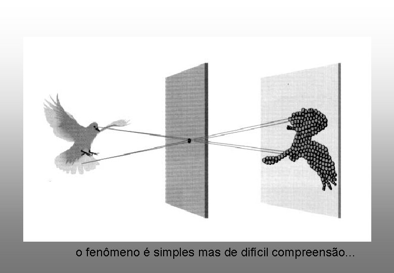 o fenômeno é simples mas de difícil compreensão. . . 