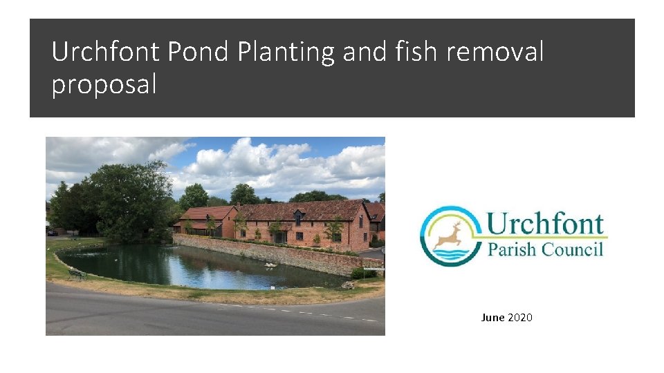 Urchfont Pond Planting and fish removal proposal June 2020 