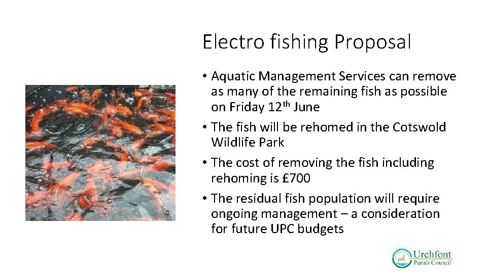 Electro fishing Proposal • Aquatic Management Services can remove as many of the remaining