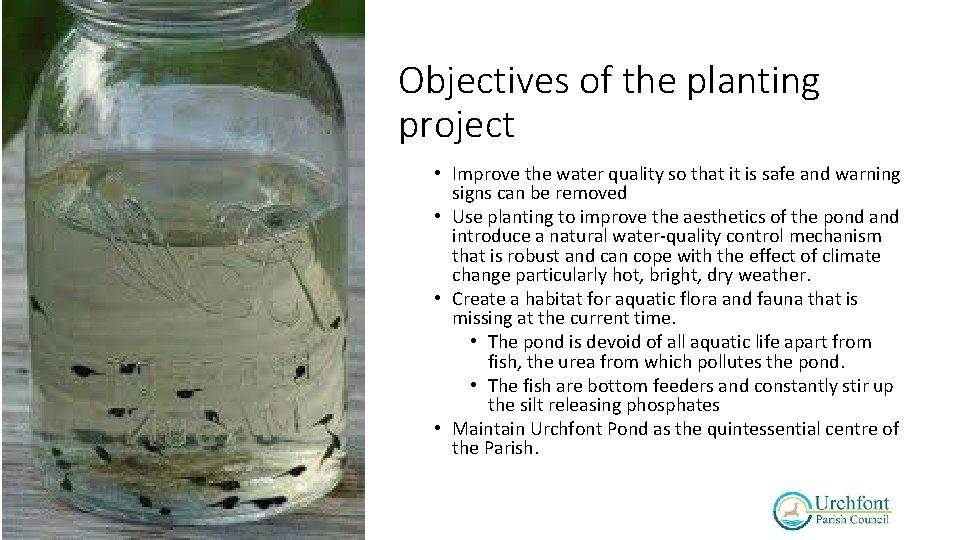 Objectives of the planting project • Improve the water quality so that it is