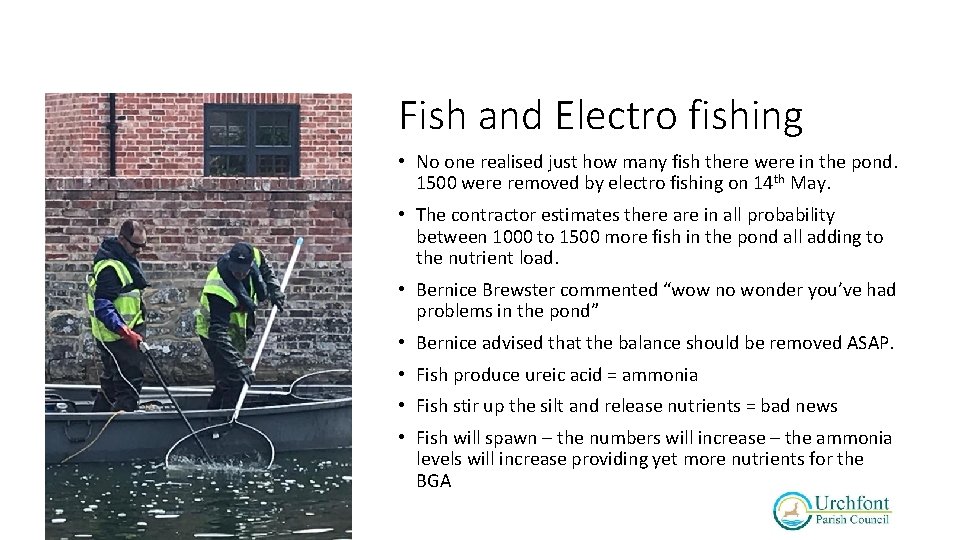 Fish and Electro fishing • No one realised just how many fish there were