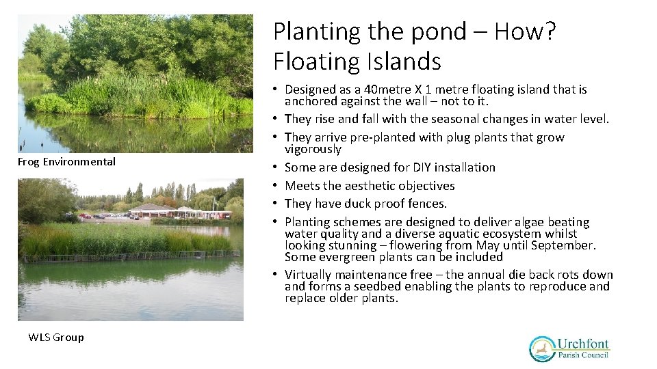 Planting the pond – How? Floating Islands Frog Environmental WLS Group • Designed as