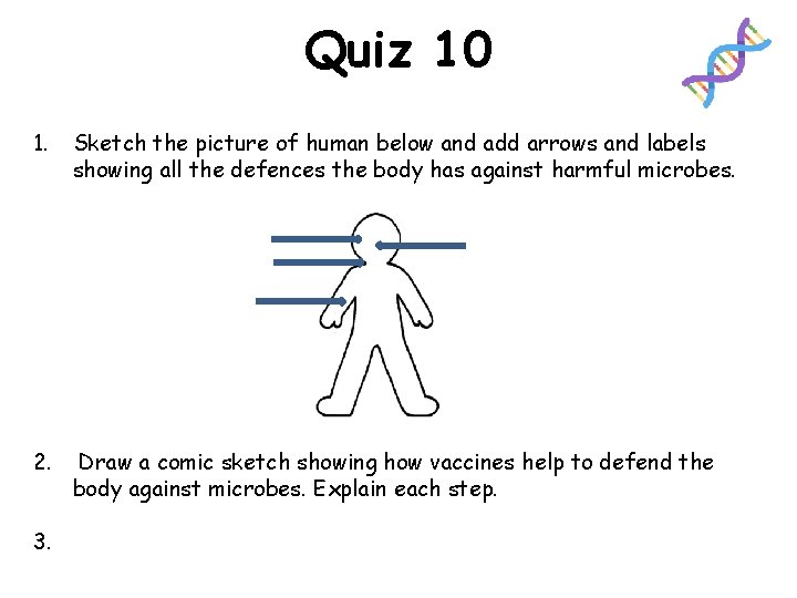 Quiz 10 1. Sketch the picture of human below and add arrows and labels