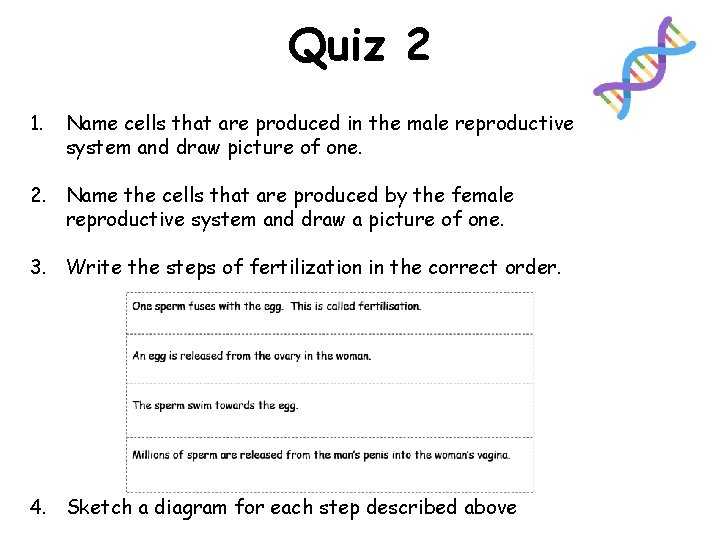 Quiz 2 1. Name cells that are produced in the male reproductive system and