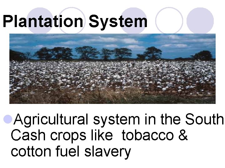 Plantation System l. Agricultural system in the South. Cash crops like tobacco & cotton