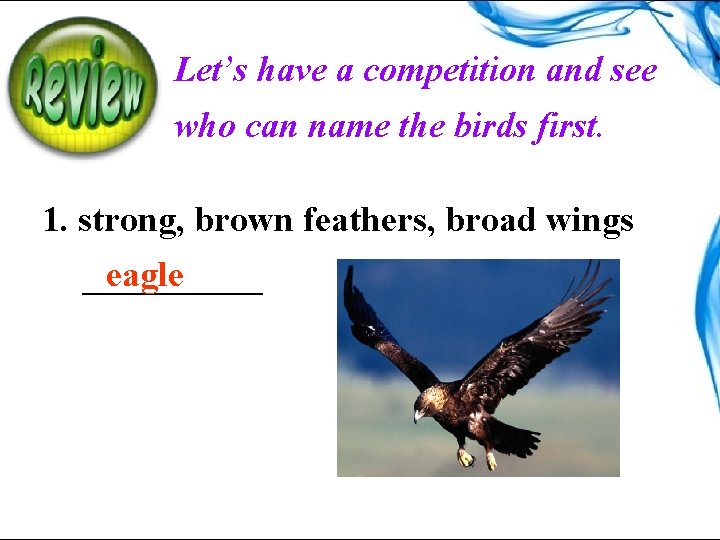 Let’s have a competition and see who can name the birds first. 1. strong,