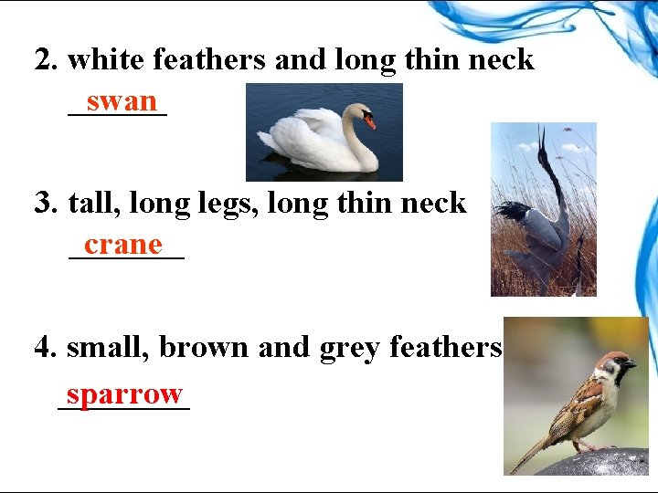 2. white feathers and long thin neck ______ swan 3. tall, long legs, long