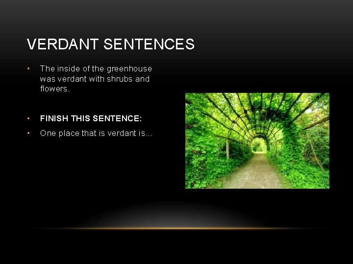 VERDANT SENTENCES • The inside of the greenhouse was verdant with shrubs and flowers.
