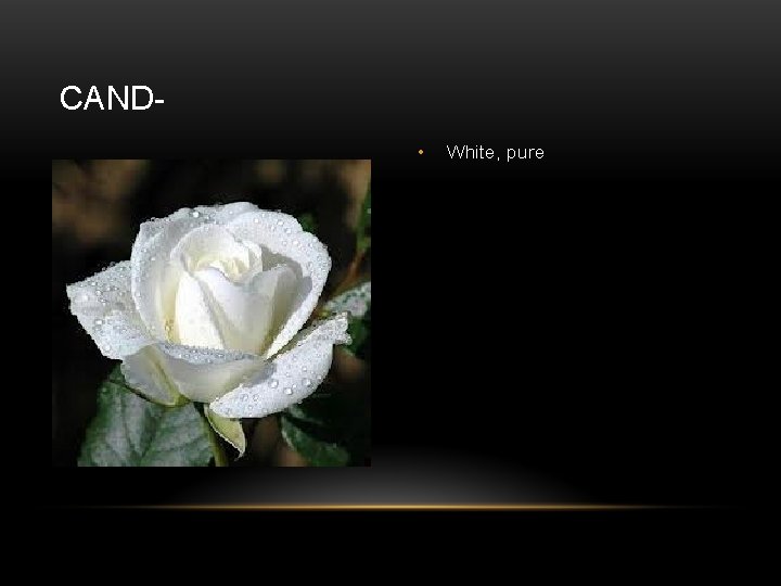 CAND • White, pure 