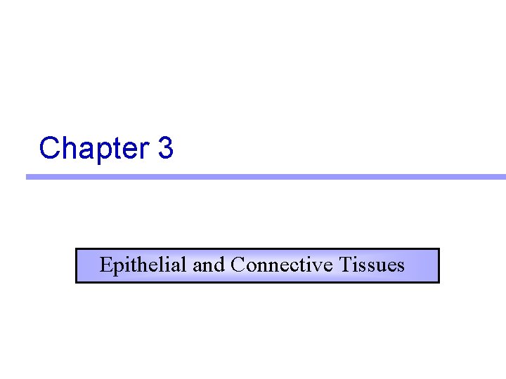 Chapter 3 Epithelial and Connective Tissues 