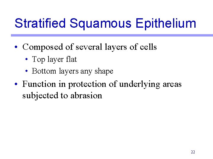 Stratified Squamous Epithelium • Composed of several layers of cells • Top layer flat