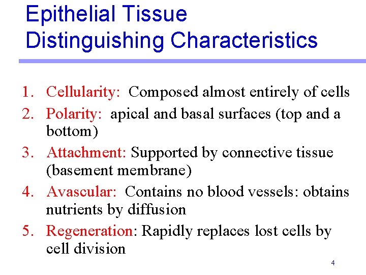 Epithelial Tissue Distinguishing Characteristics 1. Cellularity: Composed almost entirely of cells 2. Polarity: apical