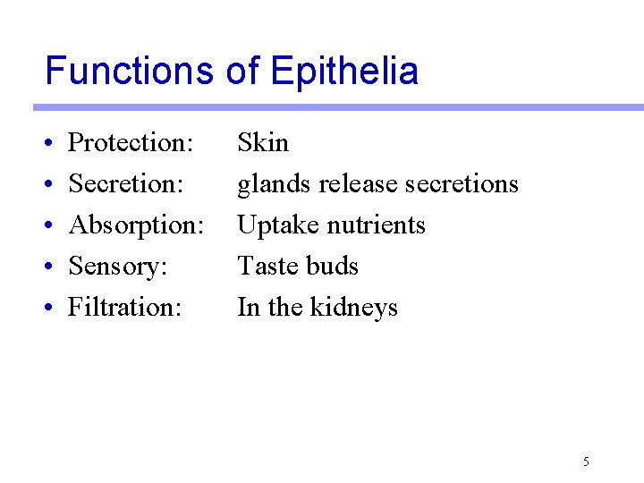 Functions of Epithelia • • • Protection: Secretion: Absorption: Sensory: Filtration: Skin glands release