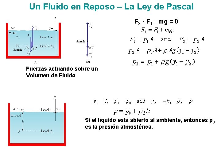 Un Fluido en Reposo – La Ley de Pascal F 2 - F 1 Un Fluido en Reposo – La Ley de Pascal F 2 - F 1