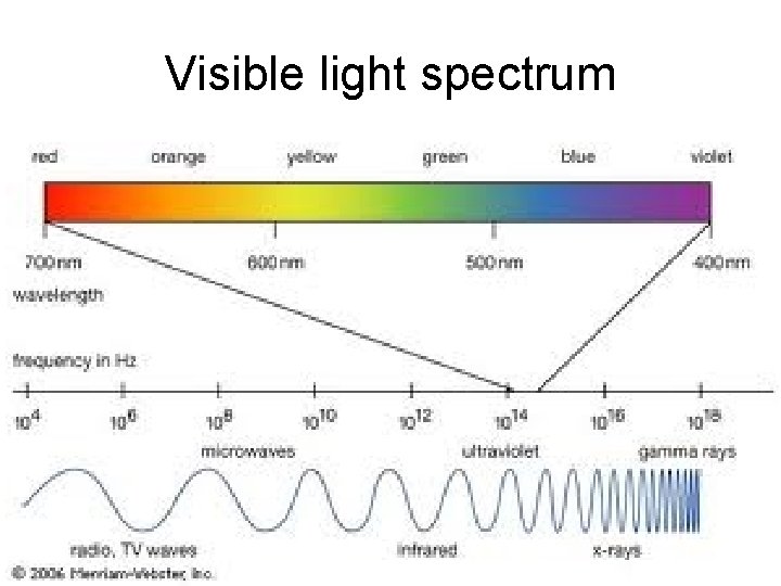 Visible light spectrum 