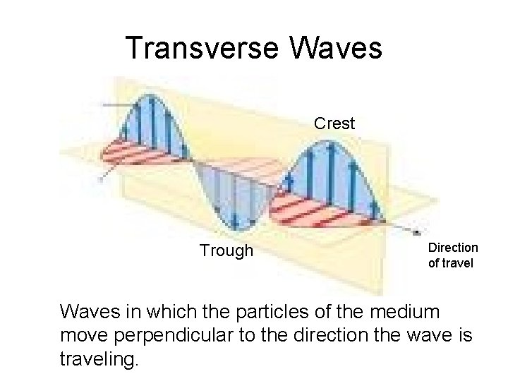 Transverse Waves Crest Trough Direction of travel Waves in which the particles of the