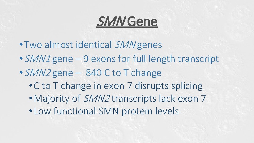 SMN Gene • Two almost identical SMN genes • SMN 1 gene – 9 SMN Gene • Two almost identical SMN genes • SMN 1 gene – 9