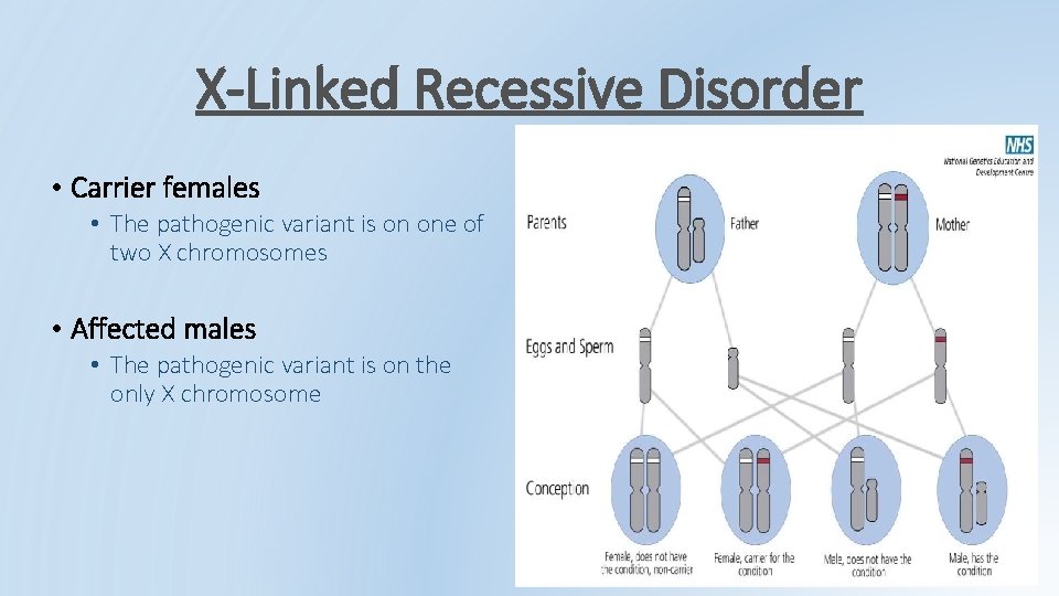 X-Linked Recessive Disorder • Carrier females • The pathogenic variant is on one of X-Linked Recessive Disorder • Carrier females • The pathogenic variant is on one of