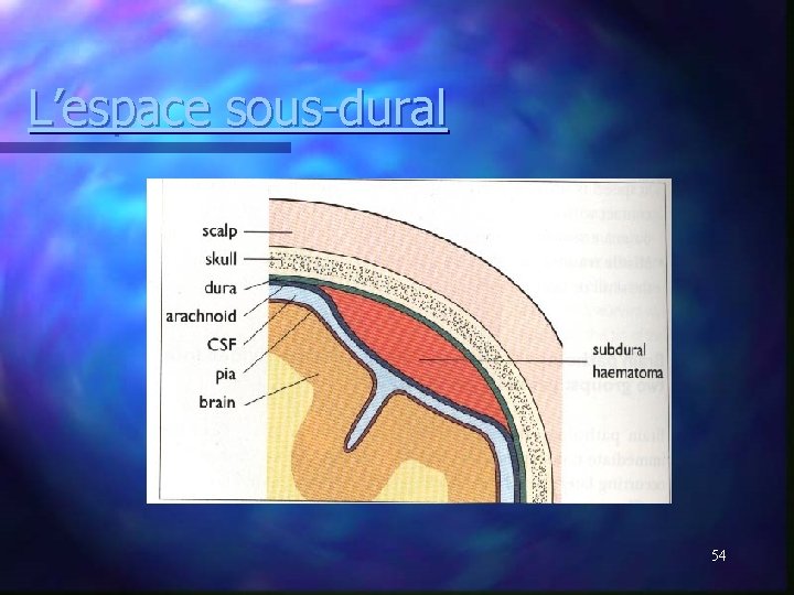L’espace sous-dural 54 L’espace sous-dural 54