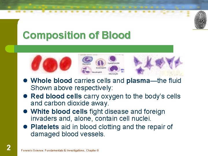 Composition of Blood l Whole blood carries cells and plasma—the fluid Shown above respectively: