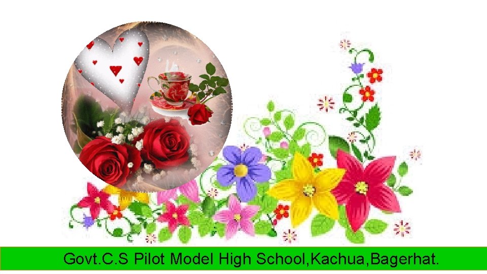Govt. C. S Pilot Model High School, Kachua, Bagerhat. 