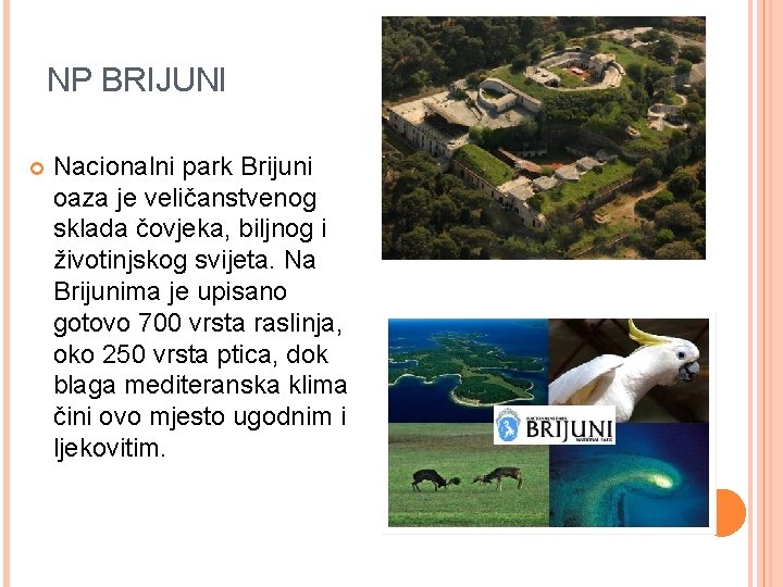 NP BRIJUNI Nacionalni park Brijuni oaza je veličanstvenog sklada čovjeka, biljnog i životinjskog svijeta.