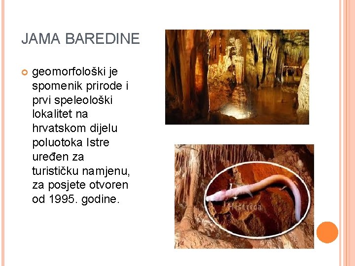 JAMA BAREDINE geomorfološki je spomenik prirode i prvi speleološki lokalitet na hrvatskom dijelu poluotoka