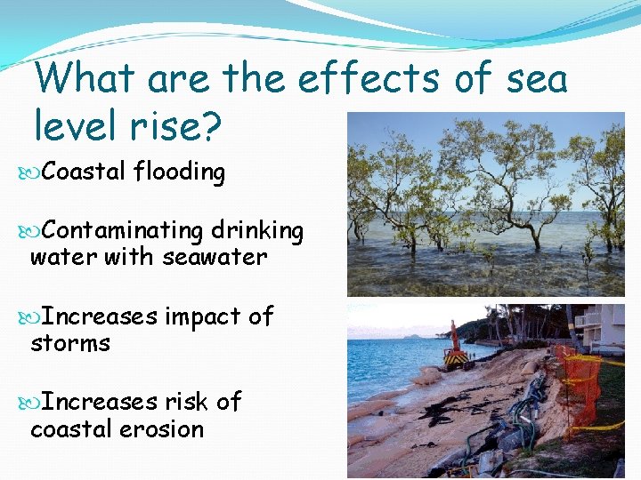 What are the effects of sea level rise? Coastal flooding Contaminating drinking water with