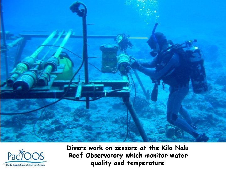 Divers work on sensors at the Kilo Nalu Reef Observatory which monitor water quality