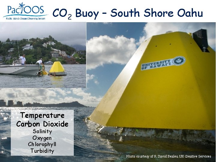 CO 2 Buoy – South Shore Oahu Temperature Carbon Dioxide Salinity Oxygen Chlorophyll Turbidity