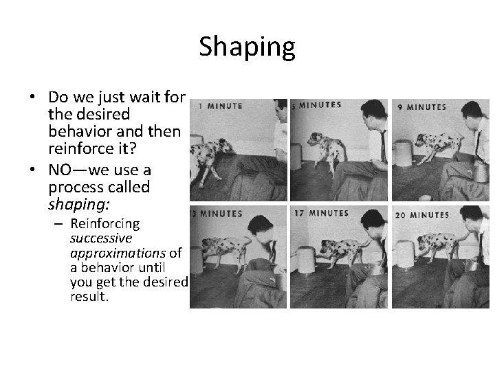 Shaping • Do we just wait for the desired behavior and then reinforce it?