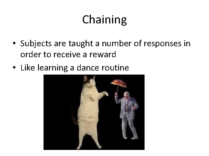 Chaining • Subjects are taught a number of responses in order to receive a